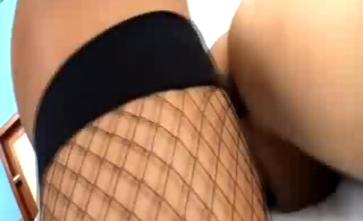 Tranny in stockings in mutual act