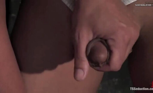 She male Mistress Jade and friend own new guy