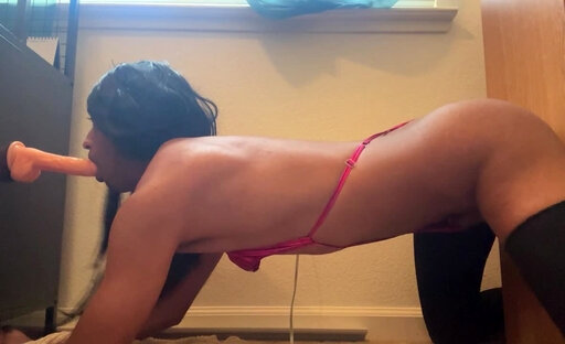 FemboyCassie Spitroasted By Dildos