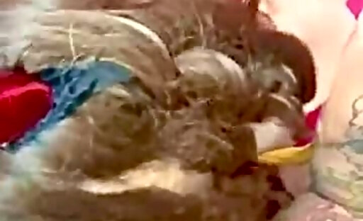 White sissy Shelley sucks mixed guys thick cock