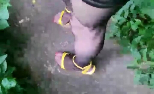 ??Balade dans les Bois pour la Victoire du PSG, qui se termine avec du Sperme pleins la