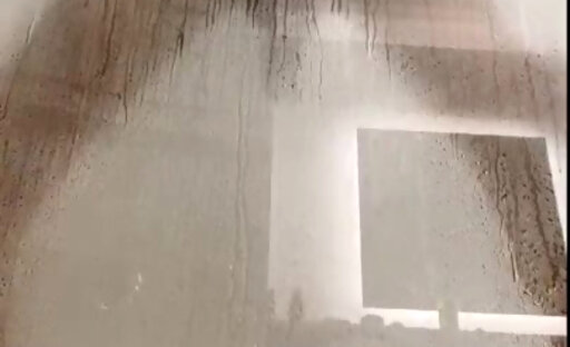 TS Shower Dildo