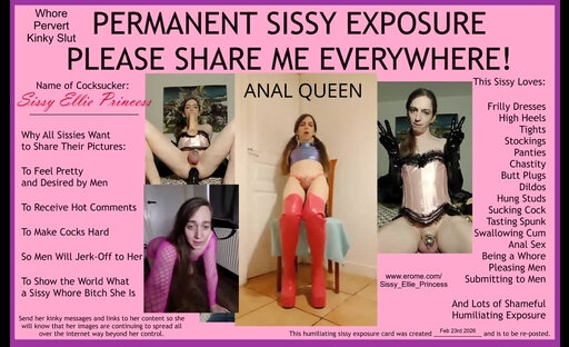 Sissy Ellie Princess - Please Expose Me 4