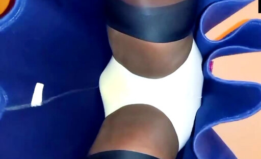 BlueGirl70 Wide Panties