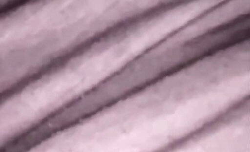 Coach Nonnie south african tranny