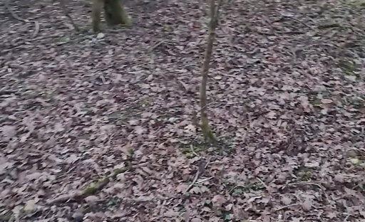 ?LaSaison reprend Mon Lieux d'Exhib est infesté de Pute en claquettes aux doigts bouffis