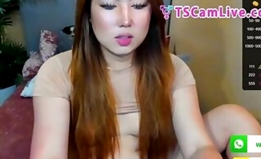 Sexy Chubby Korean Shebabe enjoying Lovense doing web cam show Part 3