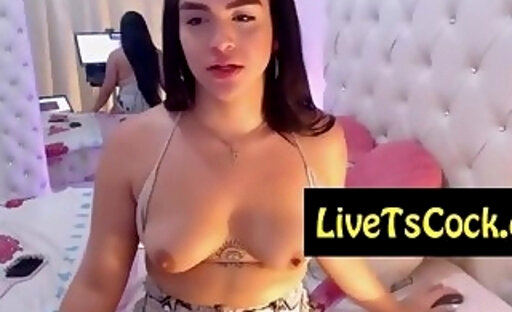 pretty mexican hot transsexual performing on live webca
