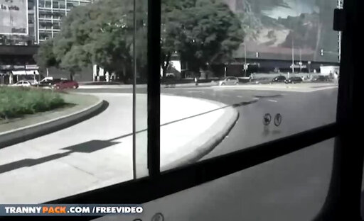 Vannina Di Marko shemale sucking a big cock in public