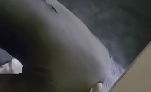 J4n3uk stretching her hole and cumming