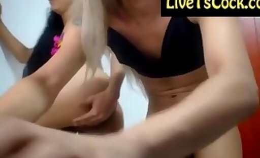 excited sheboy banging a tranny in a live webcam video