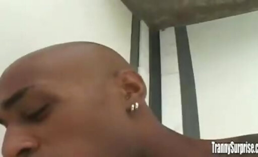 Leona Andrev gets drilled by a black guy