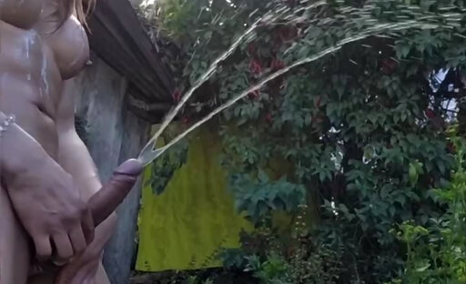 Shemale Evehamphy cum outdoor