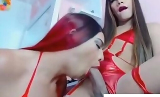 pretty babes stroking with sucking shlongs