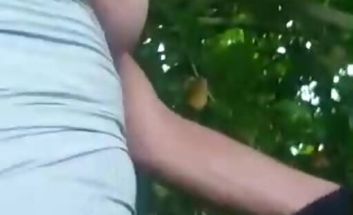 Beautiful Shemale Fuck Guy in the Woods