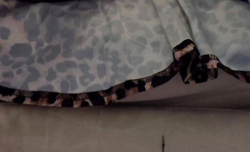 Grandma's not wearing any panties