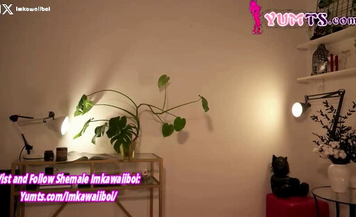 A sexy transgender blonde girl covered in oil swayed her graceful figure