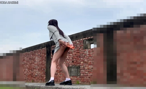 HA90Inserting dildo into anal and orgasmic climax before a date