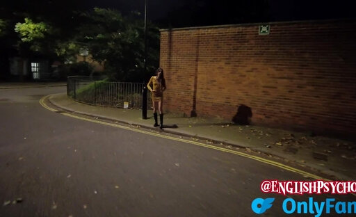 Beautiful Trans Street Whore Gets Fucked In Back Alley (literally)