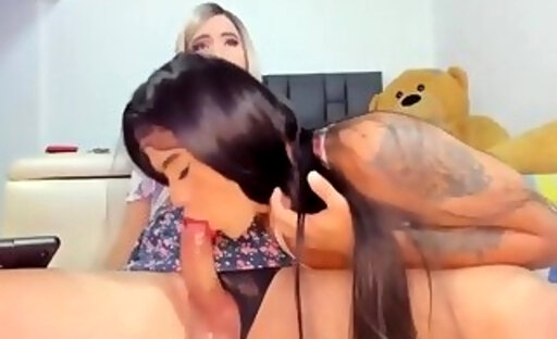 latinas trannies anus banging on live webcam