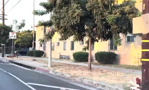 Lia Kat Figueroa Street