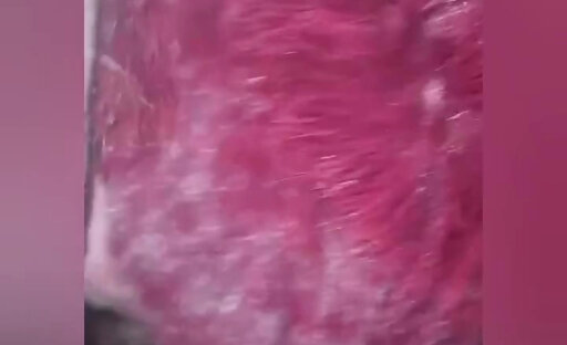 Rebeka Fur slut