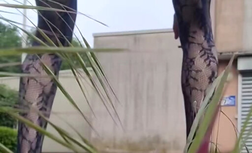 ?ExhiB P U B L I C dans un Complex Abandonné puis sur son Balcon. VaneSsaBiTCHx