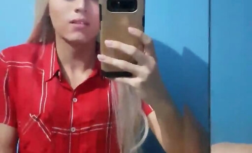vic s mirror cum 4