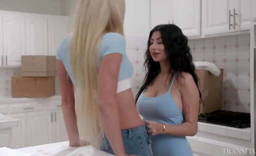 We Havent Done It In This Room