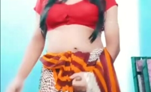 Indian Shemale In Saree Cumshot