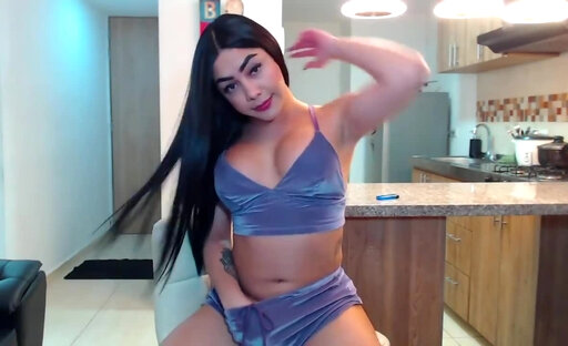 Gorgeous Tranny Princess Stefany Webcam Solo