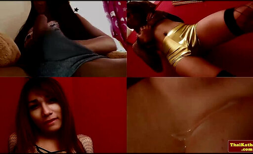 Big Cock Asian Ladyboy Bulge