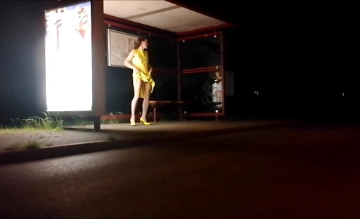 Bus stop in the night