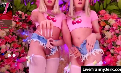 live intense trans dick play