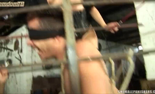 Amazon Domination #4