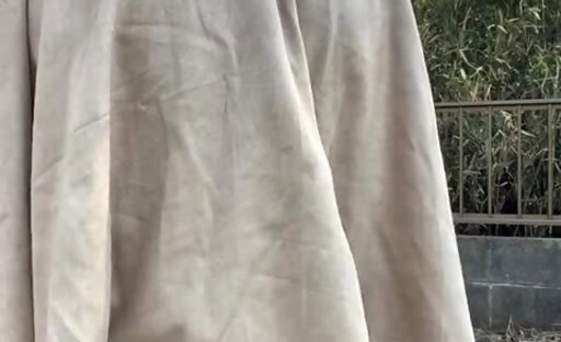 No151 Take a walk with a shirataki enema