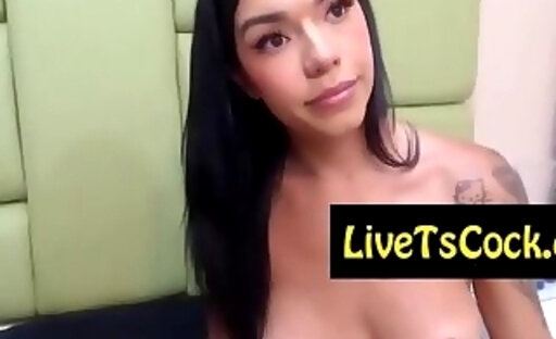 randy tattooed mexican transsexual live on live webcam