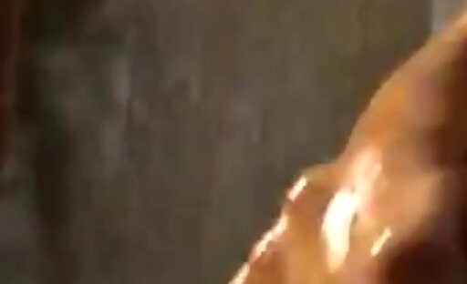 Oiledupshemales_Cintia_matarrazzo