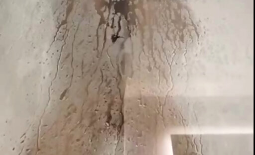 Stella Shower