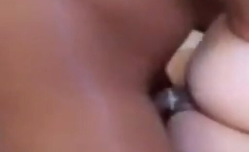 Trans500 vezuelana gata