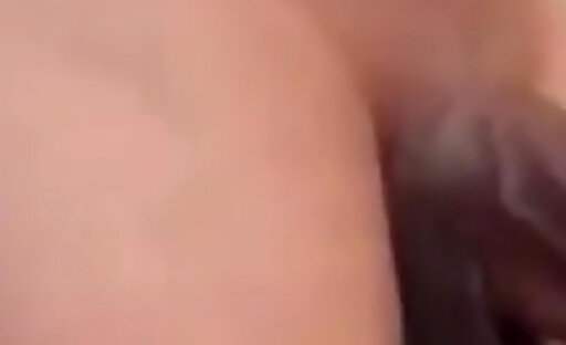 Trans500 bomda grande