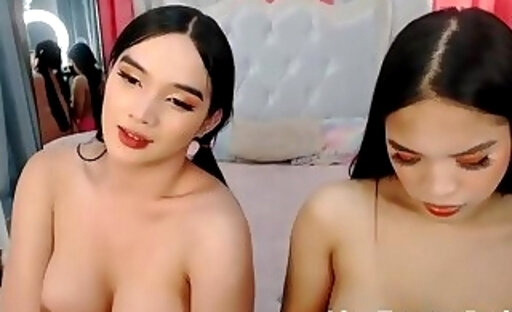 lindsyfoster transsexual webcam