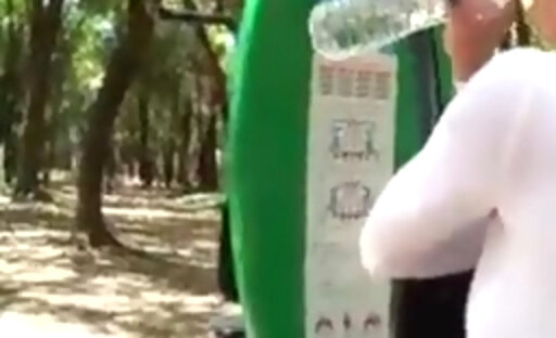 Trans500 morena venenoso