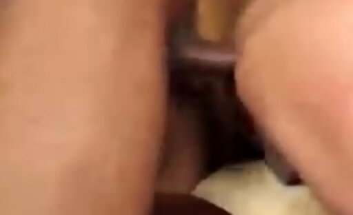 Trans500 este site e o melhor