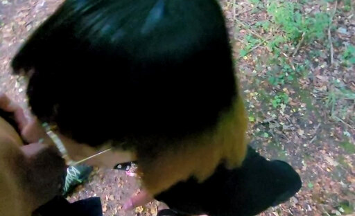 ?Petite Allumeuse dans la Forêt, qui finit en Videuse de Bite, CUMSLuT P u b l i c VaneSsaBiTCHx