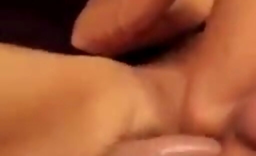 Trans500 transdelicia