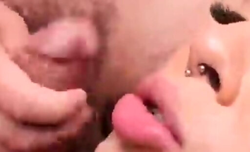 tsrow tranny