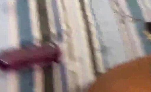 Very rough anal with a tanned shemale