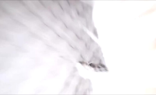 Naughty guy gets fucked hard by a shemale