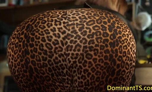 Guy rims transgender babes ass before analsex